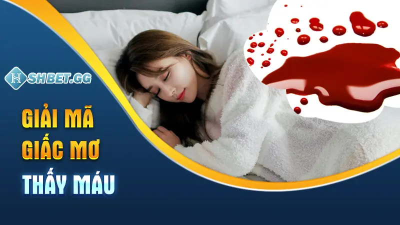 Mơ Thấy Máu Là Điềm Gì? Đánh Con Gì Để Vào Bờ Nhanh Nhất 3 Giải mã giấc mơ thấy máu