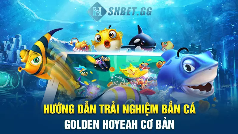 Bắn cá Golden Hoyeah - Khám phá thế giới đại dương thu nhỏ 6 Hướng dẫn trải nghiệm bắn cá Golden Hoyeah cơ bản