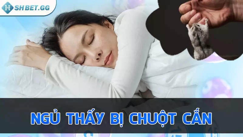 Nằm mơ thấy chuột thì đánh con gì để thu hút tài lộc? 5 Ngủ thấy bị chuột cắn