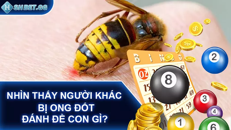 Giải mã bị ong đốt đánh đề con gì cho chính xác 7 Nhìn thấy người khác bị ong đốt đánh đề con gì?